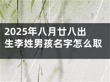 2025年八月廿八出生李姓男孩名字怎么取