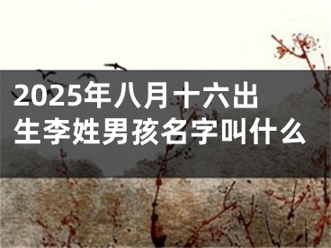2025年八月十六出生李姓男孩名字叫什么