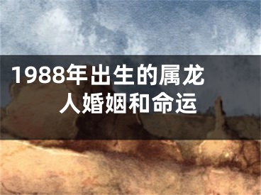 1988年出生的属龙人婚姻和命运