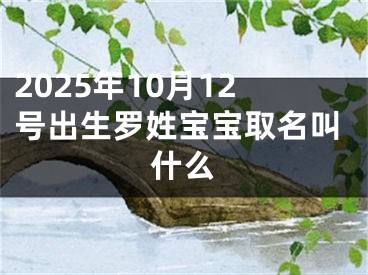 2025年10月12号出生罗姓宝宝取名叫什么