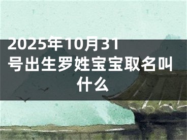 2025年10月31号出生罗姓宝宝取名叫什么