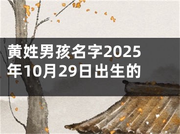 黄姓男孩名字2025年10月29日出生的