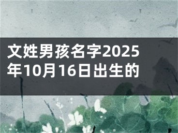 文姓男孩名字2025年10月16日出生的