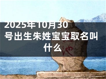 2025年10月30号出生朱姓宝宝取名叫什么