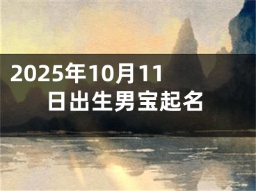 2025年10月11日出生男宝起名