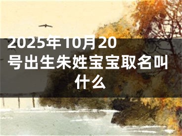 2025年10月20号出生朱姓宝宝取名叫什么