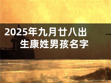 2025年九月廿八出生康姓男孩名字