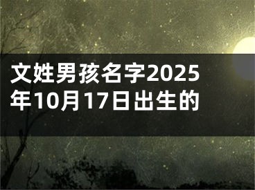 文姓男孩名字2025年10月17日出生的