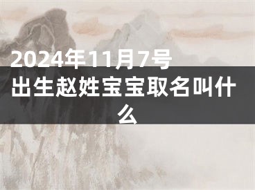 2024年11月7号出生赵姓宝宝取名叫什么