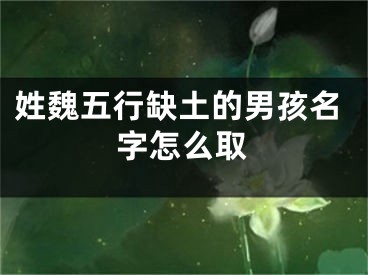 姓魏五行缺土的男孩名字怎么取