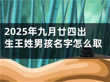 2025年九月廿四出生王姓男孩名字怎么取