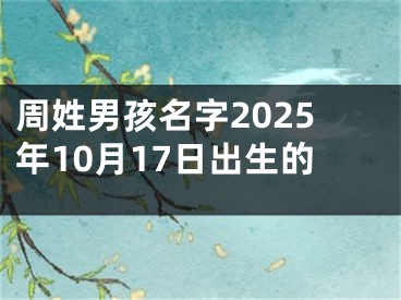 周姓男孩名字2025年10月17日出生的
