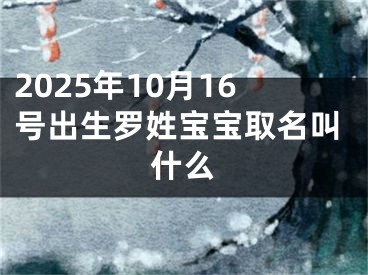 2025年10月16号出生罗姓宝宝取名叫什么