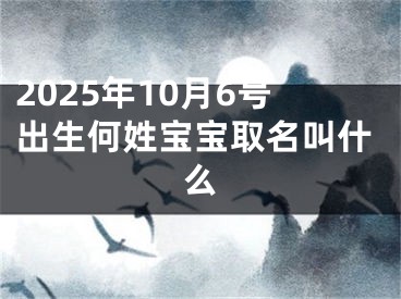 2025年10月6号出生何姓宝宝取名叫什么