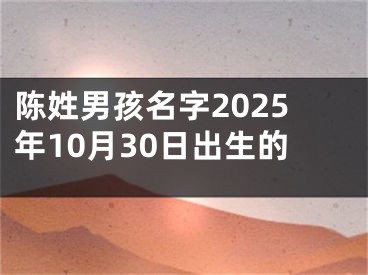 陈姓男孩名字2025年10月30日出生的