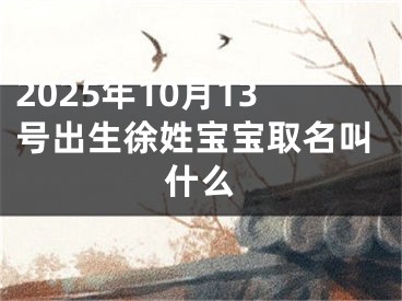 2025年10月13号出生徐姓宝宝取名叫什么