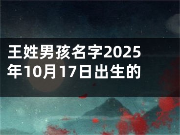 王姓男孩名字2025年10月17日出生的