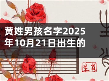 黄姓男孩名字2025年10月21日出生的