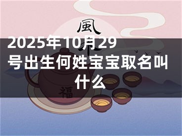 2025年10月29号出生何姓宝宝取名叫什么