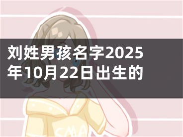 刘姓男孩名字2025年10月22日出生的
