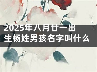 2025年八月廿一出生杨姓男孩名字叫什么