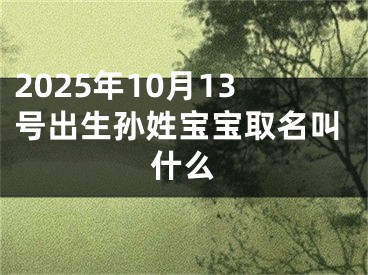 2025年10月13号出生孙姓宝宝取名叫什么