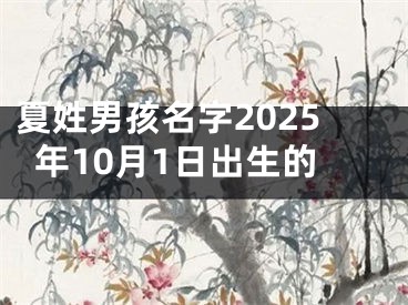 夏姓男孩名字2025年10月1日出生的
