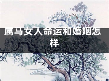 属马女人命运和婚姻怎样
