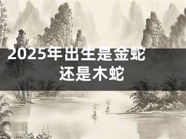 2025年出生是金蛇还是木蛇