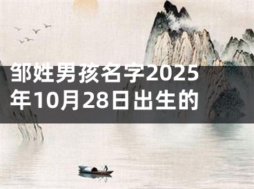 邹姓男孩名字2025年10月28日出生的