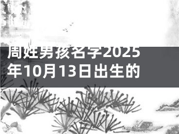 周姓男孩名字2025年10月13日出生的