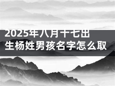 2025年八月十七出生杨姓男孩名字怎么取
