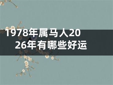 1978年属马人2026年有哪些好运