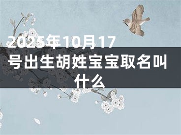 2025年10月17号出生胡姓宝宝取名叫什么