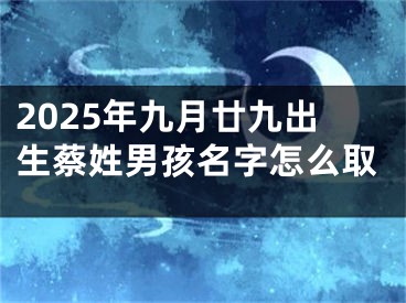 2025年九月廿九出生蔡姓男孩名字怎么取