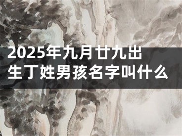 2025年九月廿九出生丁姓男孩名字叫什么