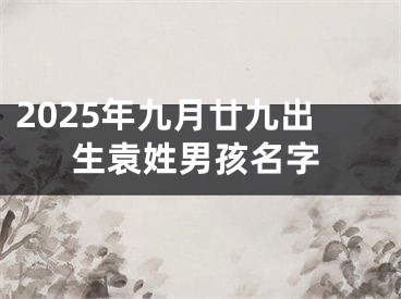2025年九月廿九出生袁姓男孩名字