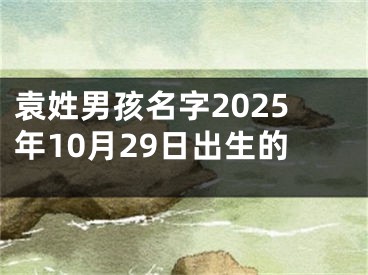 袁姓男孩名字2025年10月29日出生的