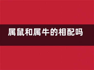 属鼠和属牛的相配吗