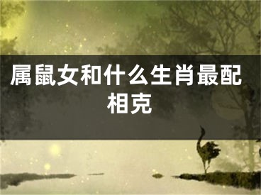 属鼠女和什么生肖最配相克