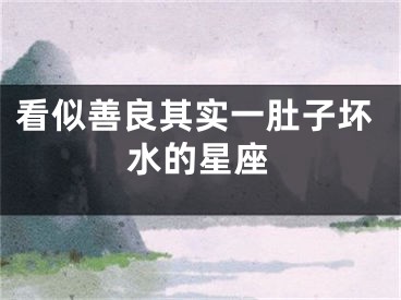 看似善良其实一肚子坏水的星座