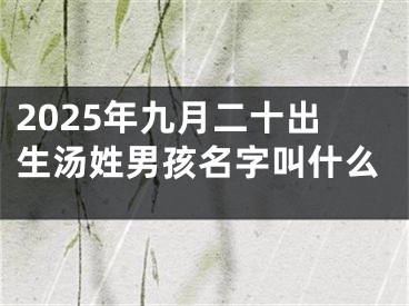 2025年九月二十出生汤姓男孩名字叫什么
