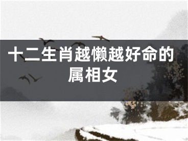 十二生肖越懒越好命的属相女