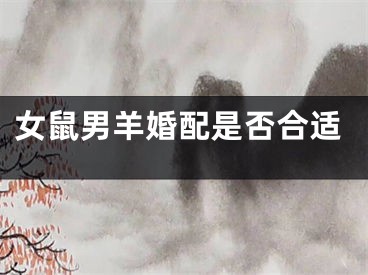 女鼠男羊婚配是否合适