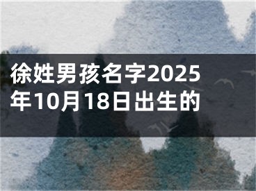 徐姓男孩名字2025年10月18日出生的