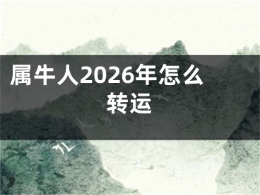属牛人2026年怎么转运