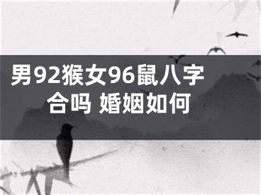 男92猴女96鼠八字合吗 婚姻如何