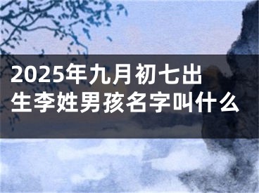 2025年九月初七出生李姓男孩名字叫什么