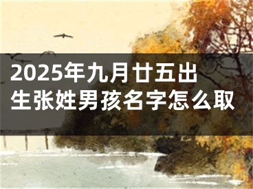 2025年九月廿五出生张姓男孩名字怎么取