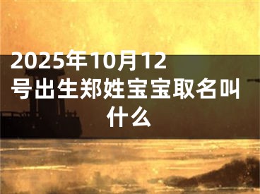2025年10月12号出生郑姓宝宝取名叫什么